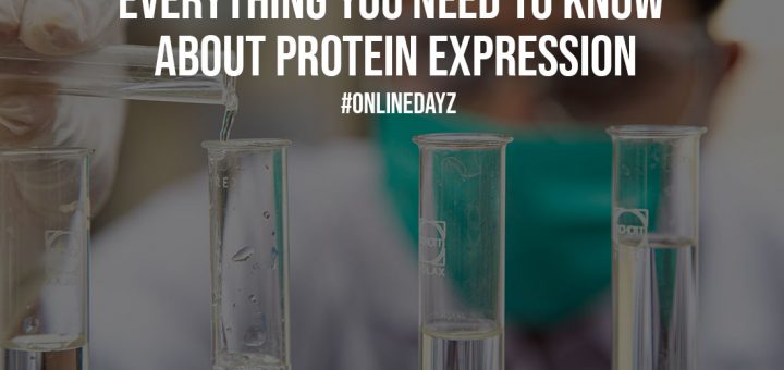 Everything You Need to Know About Protein Expression
